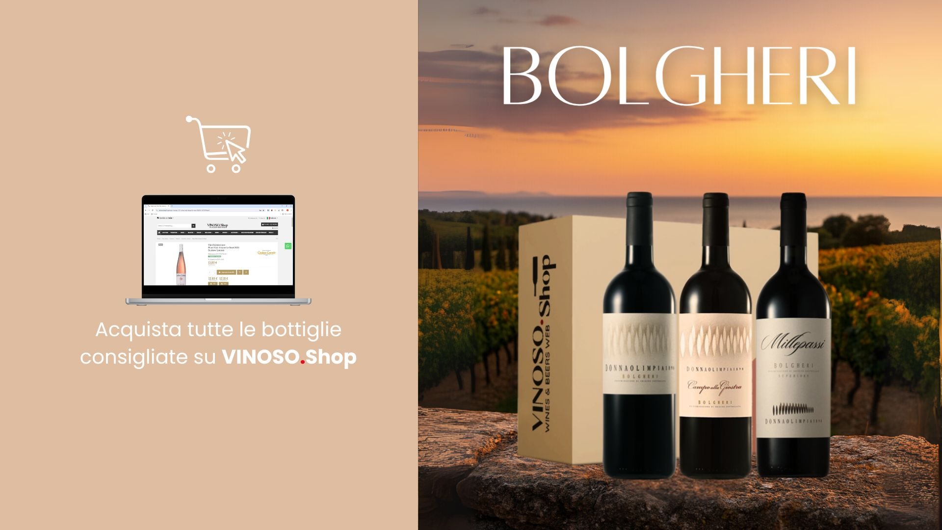 Vini Bolgheri: la Toscana che conquista