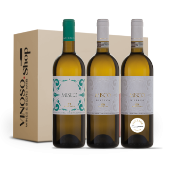 Esperienze delle Marche