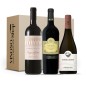 Tasting Box 3 Bottles – Italy’s Reds: Bolgheri, Valpolicella & Sardinia