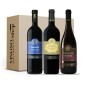 Tasting Box 3 bottiglie – Esperienza di Valpolicella: 3 Rossi Boscaini Carlo