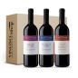 Tasting Box 3 Bottles – Discover Langa Wines: 3 Red Wines Tenuta L’Illuminata