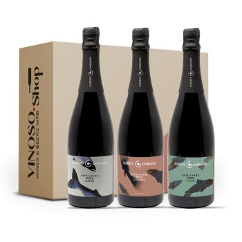 3 BOTTIGLIE DI BOLLICINE METODO CLASSICO ALTA LANGA
Esperienza di Alta Langa
Roberto Garbarino