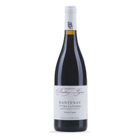 Santenay La Comme Vieilles Vignes 2020 Domaine Bachey Legros