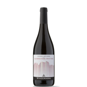 Südtirol - Alto Adige Doc Blauburgunder Pinot Nero 2024 Winzerberg
