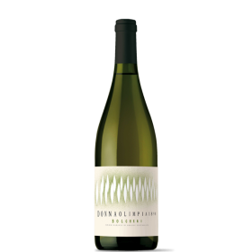 Donna Olimpia Bolgheri Bianco 2023