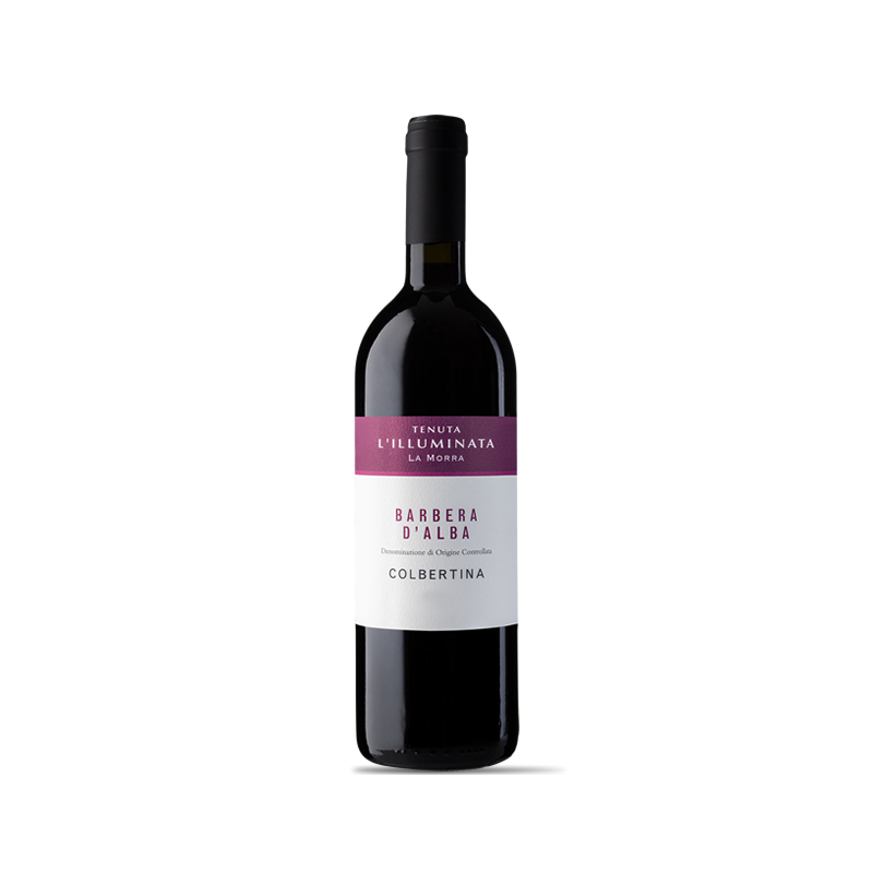 Barbera d'Alba Doc Colbertina 2022, Tenuta l'Illuminata