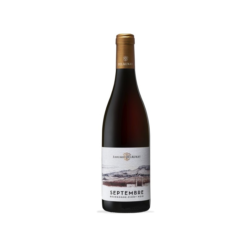 Bourgogne Aoc Septembre Pinot Noir 2023, Edouard Delaunay