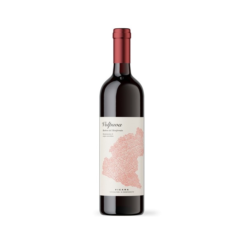 Barbera del Monferrato Doc Volpuva 2023, Vicara