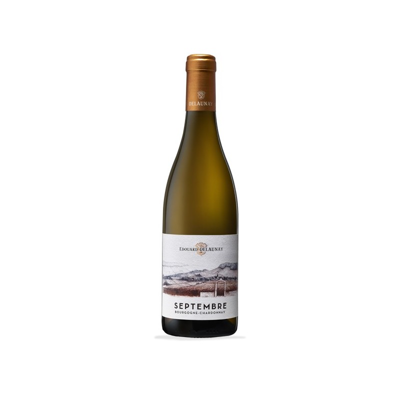 Bourgogne Aoc Septembre Chardonnay 2023, Edouard Delaunay
