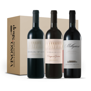 Esperienza di Bolgheri