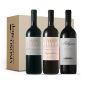 Tasting Box 3 bottiglie – Esperienza di Bolgheri: 3 Rossi Donna Olimpia