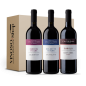 Tasting Box 3 Bottles – Langa Experience: 3 Red Wines Tenuta L’Illuminata