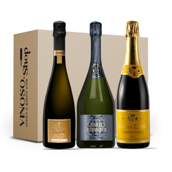 Bollicine Brut 