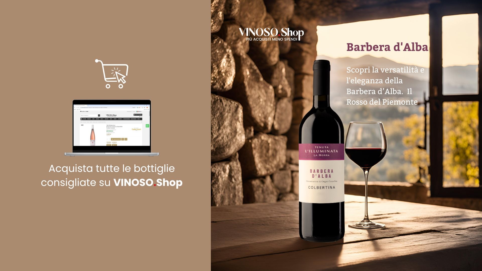 Barbera d'Alba: L'Essenza del Vino Rosso Piemontese 