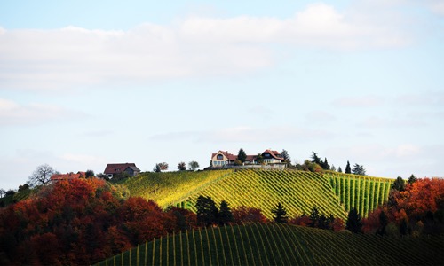 VINOSO.Shop oggi vorrebbe presentarvi i l’azienda Weingut Tement
