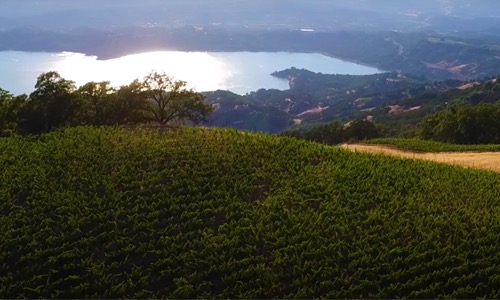 VINOSO.Shop oggi vorrebbe presentarvi la contea di Mendocino