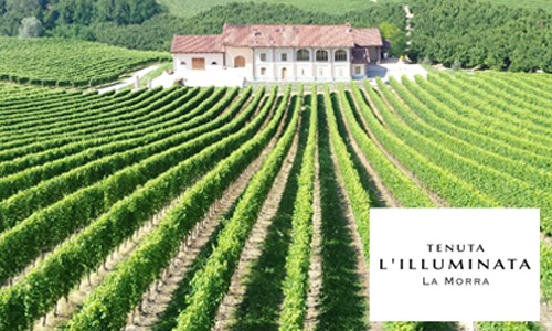 TENUTA L'ILLUMINATA 10 ettari di splendidi vigneti  a La Morra 