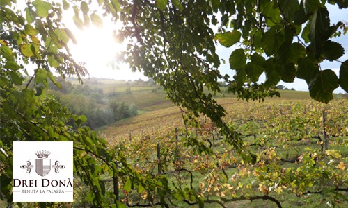 DREI DONÀ 23 hectares completely eco-sustainable in Romagna