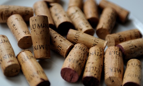 Barbera and Nebbiolo dolcetto