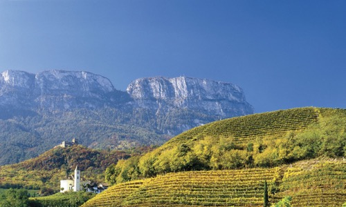 VINOSO.Shop oggi vorrebbe presentarvi la zona di produzione del Prosecco.