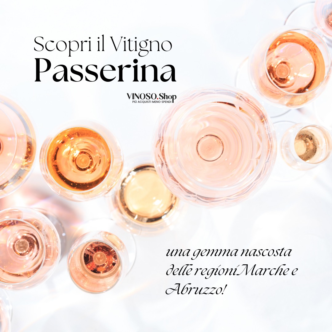 Scopri il Vitigno Passerina: Storia, Caratteristiche e Consigli per Acquisto Online