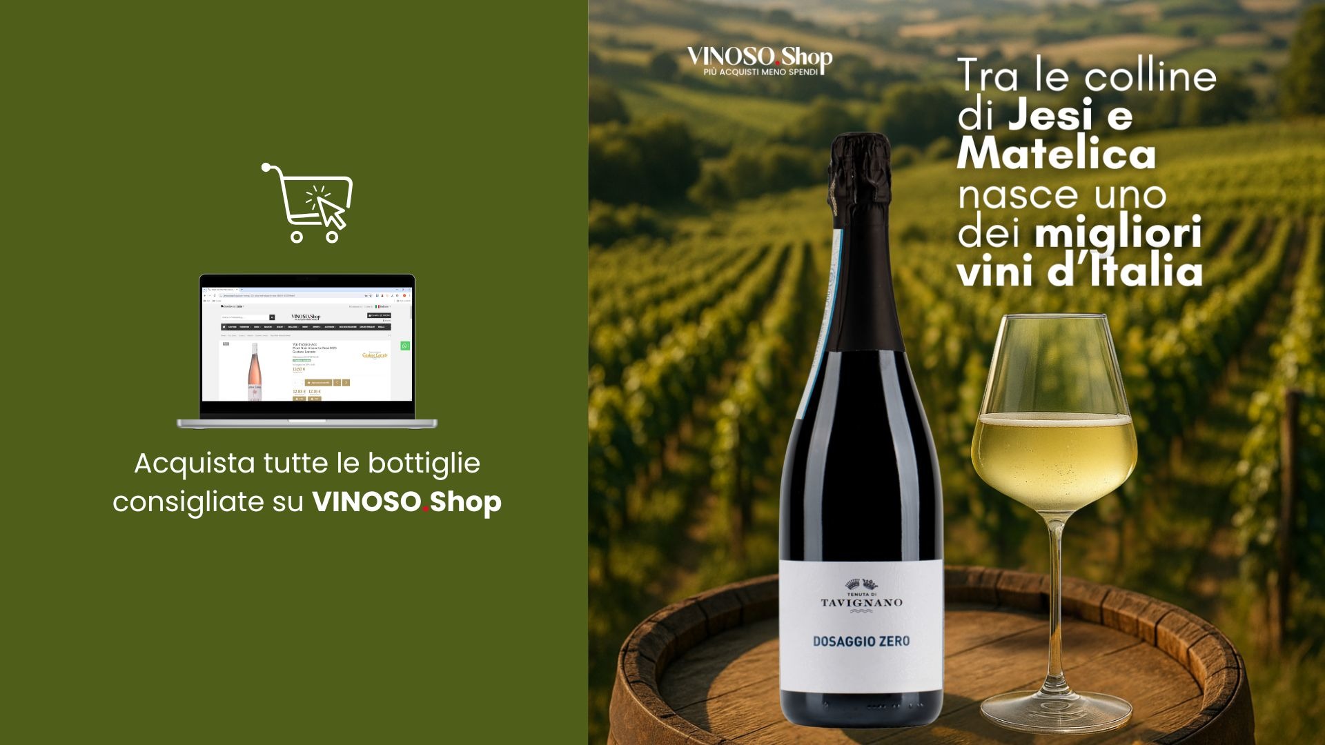 La regione del Verdicchio: viaggio tra le colline delle Marche e i suoi grandi vini bianchi 