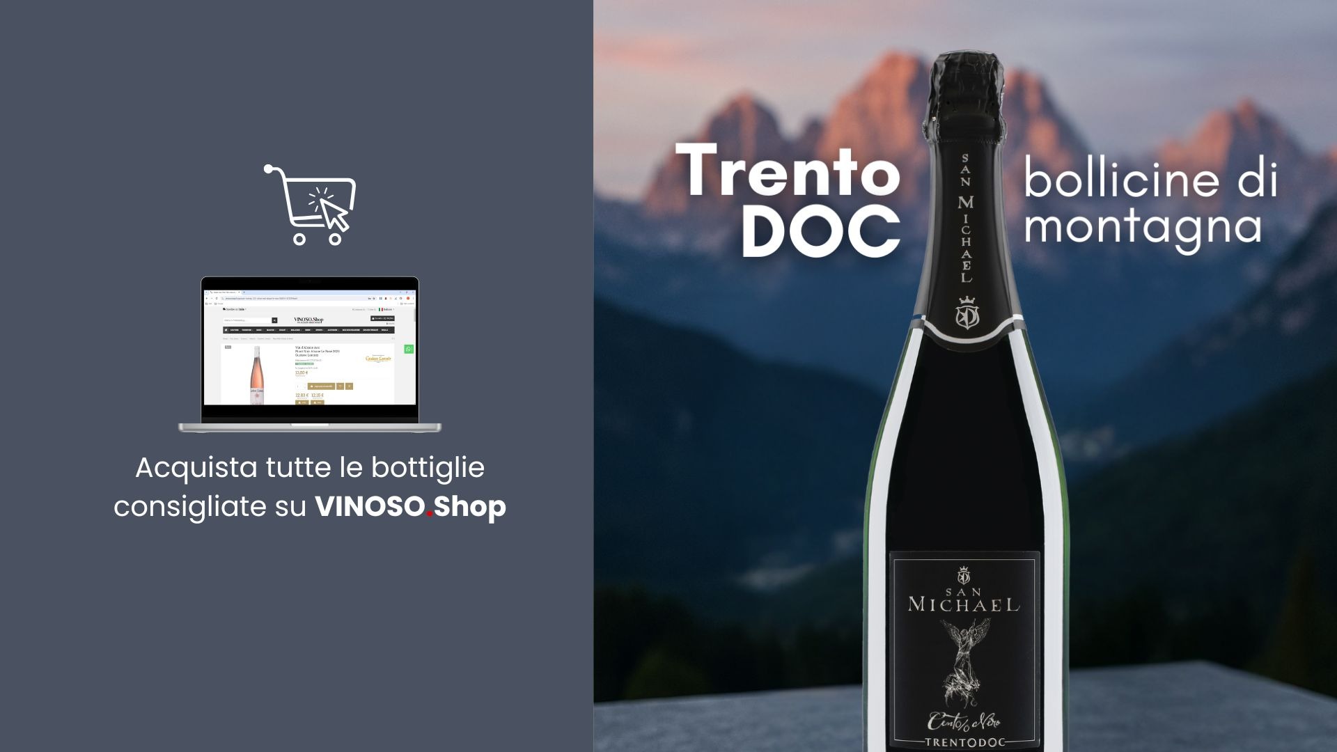 Vini trentini: guida completa ai sapori del Trentino