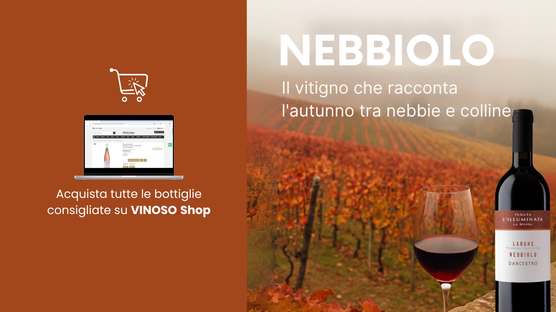 Nebbiolo vino: il rosso che racconta l’autunno