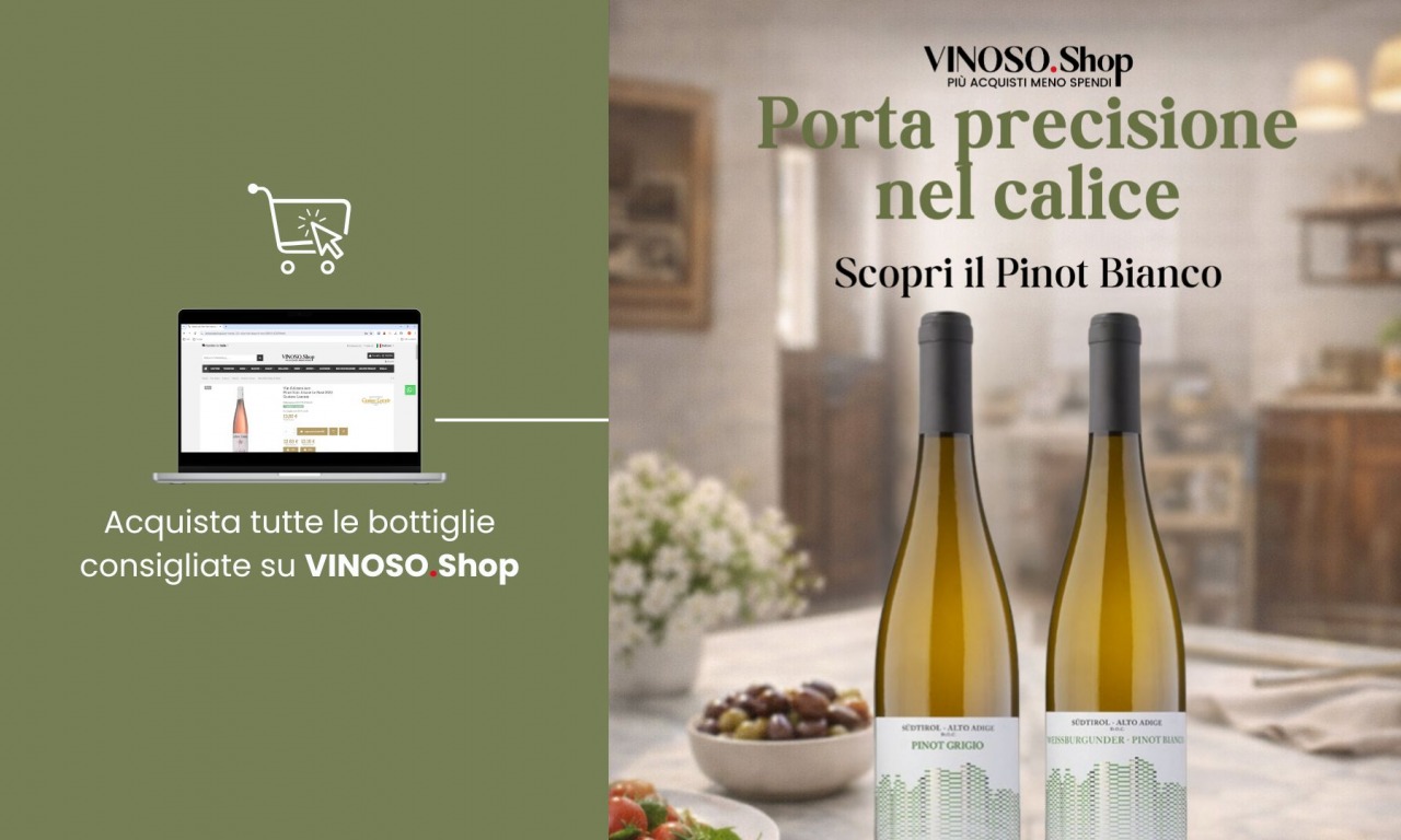 Vino Pinot Bianco: caratteristiche, abbinamenti e come sceglierlo