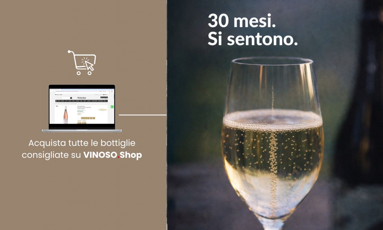 Alta Langa Docg: guida completa alle bollicine piemontesi di eccellenza