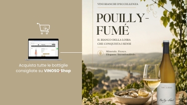 Pouilly-Fumé: guida completa al vino bianco della Loira e confronto con Pouilly-Fuissé