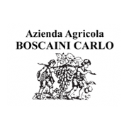 Boscaini Carlo