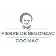 Pierre de Segonzac